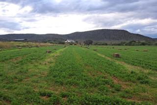 2 Bedroom Property for Sale in Oudtshoorn Rural Western Cape